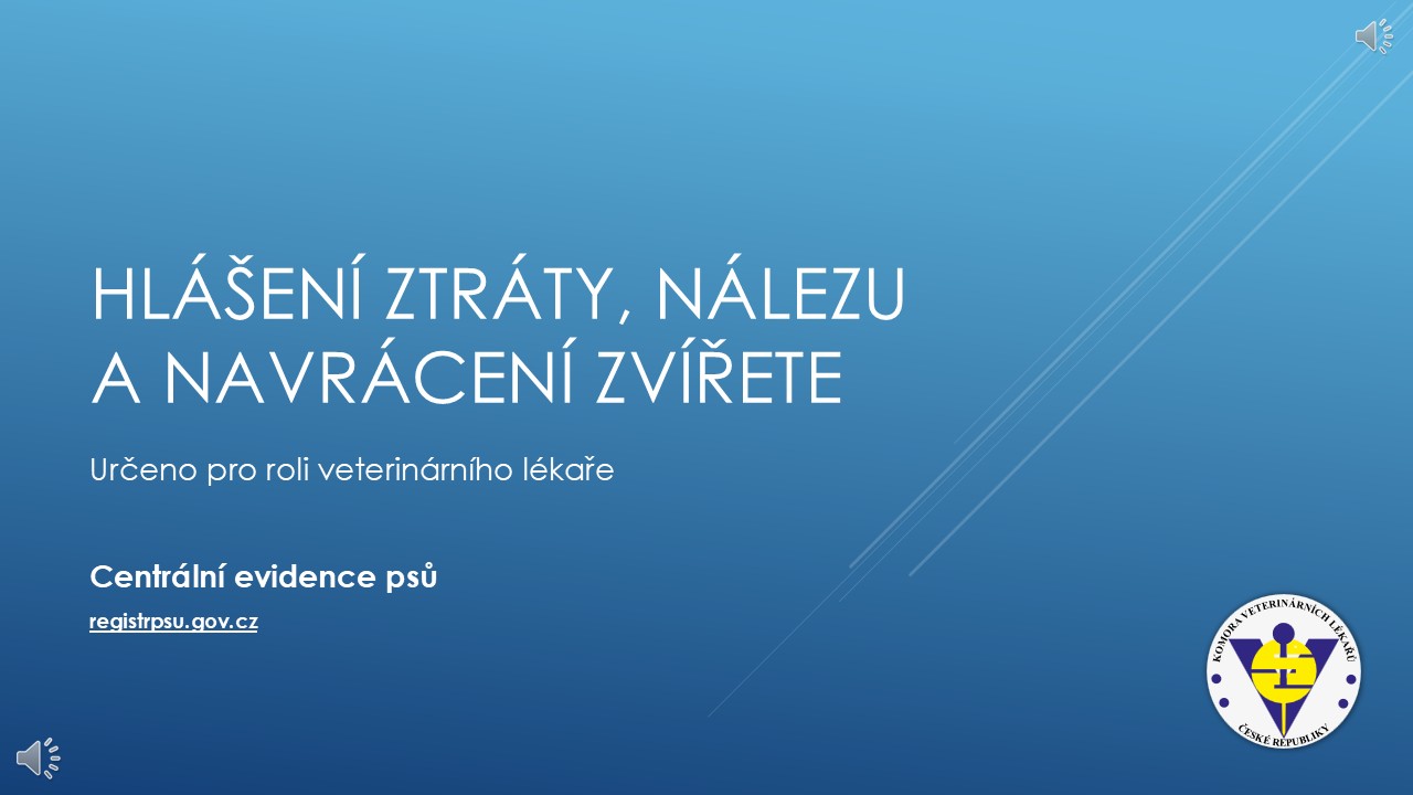 Ilustrační náhled videa